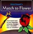 Match to Flower by Dave Powell