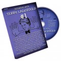 Sessions DVD by Terry LaGerould