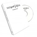 DVD Pasteboard Player Nathan Gibson
