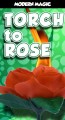 Torch to Rose by Modern Magic Trick
