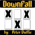 Downfall by Peter Duffie