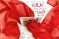 Silk Through Card 2.0 by Aaron Smith